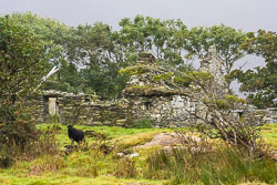 Derelict-Cottage-near-Salruck.jpg