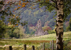 St,-Kevin's-Kitchen,-Glendalough.jpg