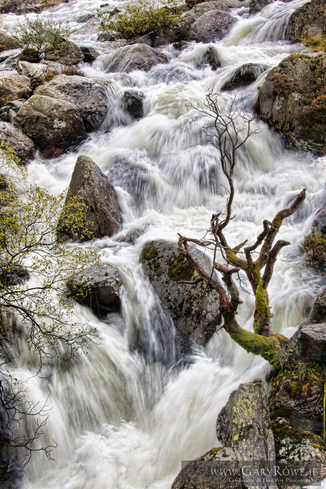 After-the-Rain,-Wales.jpg