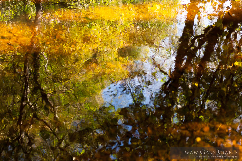 Autumn,-reflected.jpg