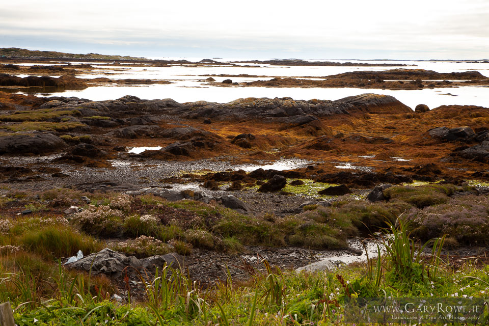 Connamara-Coastline,-nr-Ballyconneely.jpg