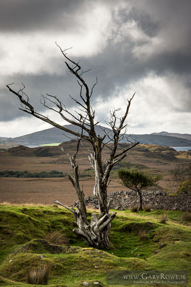 Connemara.jpg