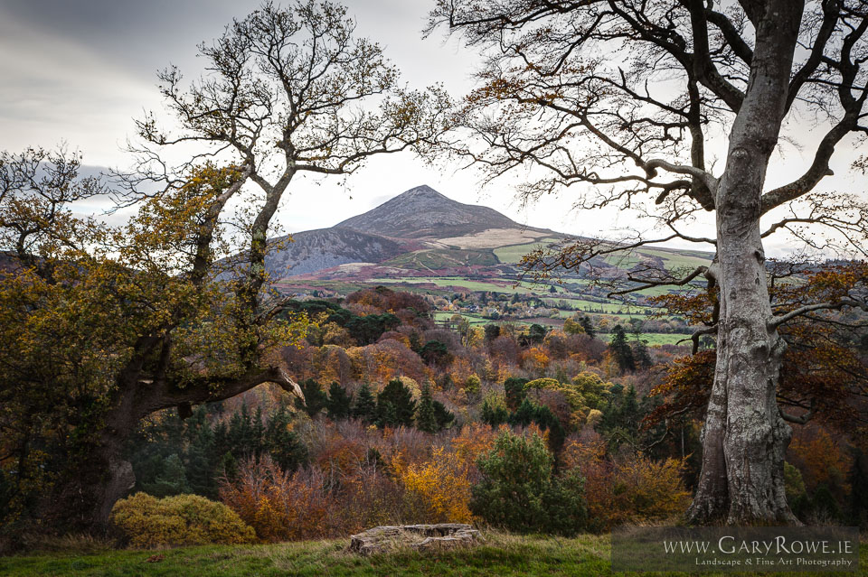 The-Big-Sugarloaf,-from-Powerscourt.jpg