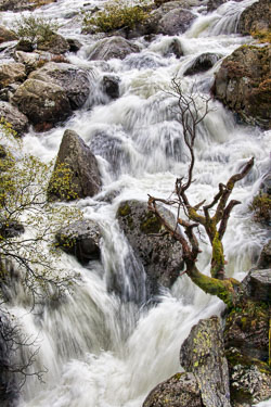 After-the-Rain,-Wales.jpg