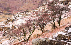 Hillside-near-Mount-Snowdon.jpg