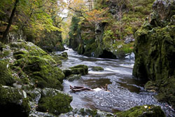 The-Fairy-Glen,-Wales.jpg