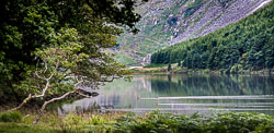 Landscaped by Nature