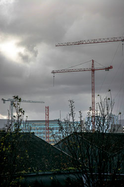 Cranes-over-the-Docklands.jpg