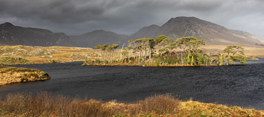 Twelve-Pine-Island-on-Derryclare-Lough-Pano-1-2.25.jpg