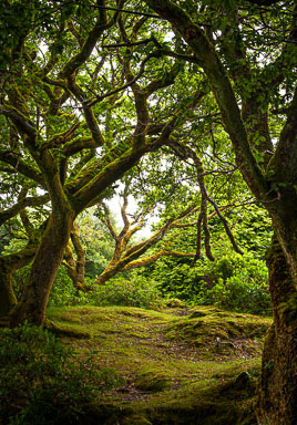 Ballynahinch,-Connemara.jpg